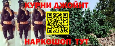mdpv Кингисепп