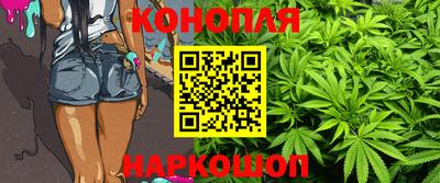 крисы Кимры