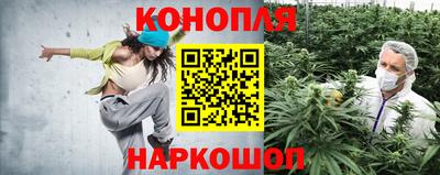 mdpv Кингисепп