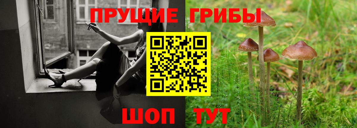 Ялуторовск  Галлюциногенные грибы Psilocybe  Псилоцибиновые грибы Cubensis  Вход с VPN 